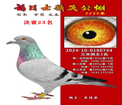 徐州精英公棚決賽23名