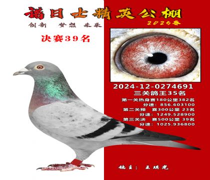 徐州精英公棚決賽39名