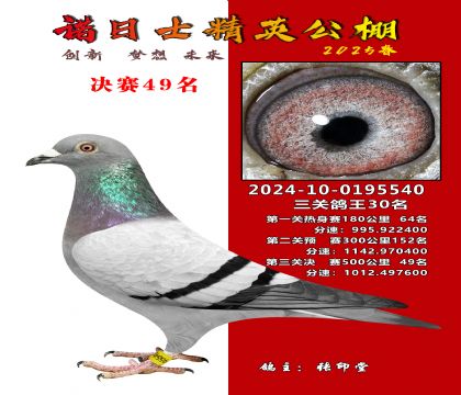 徐州精英公棚決賽49名