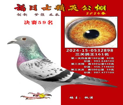 徐州精英公棚決賽59名