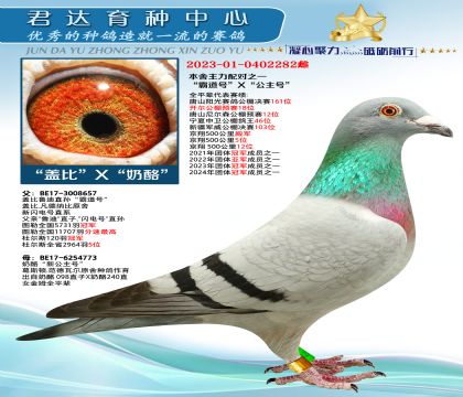 金環(huán):“蓋比”X“奶酪”