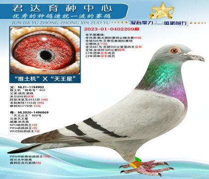 金環(huán):“推土機(jī)”X“天王星”超級配對