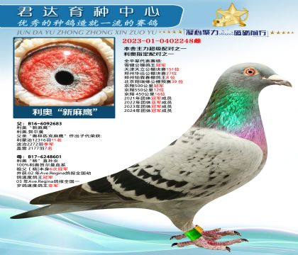 金環(huán):利奧“新麻鷹”