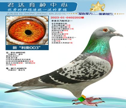 金環(huán):新“利奧003”