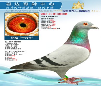 金環(huán):奶酪“十萬號”