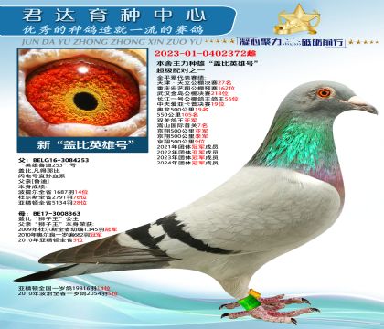 金環(huán):新“蓋比英雄號”