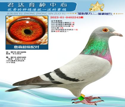 金環(huán):詹森“冬日男孩” 詹森超級配對