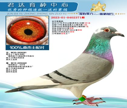 金環(huán):百分百桑杰士配對