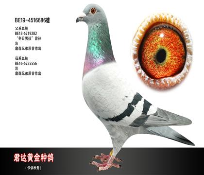 ĸD