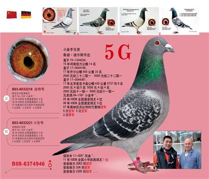 5G