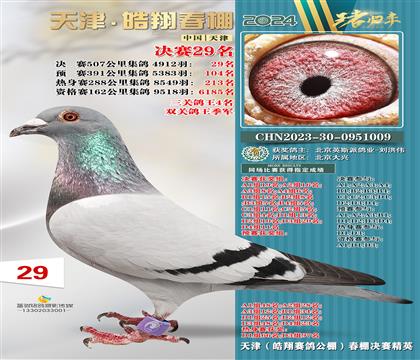 贺pP܊