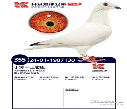 24_(ki)wS(du)Qِ355