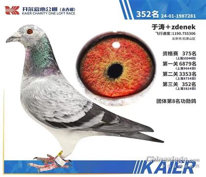 25_(ki)СQِ352