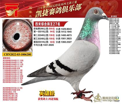 Pݾ㘷27