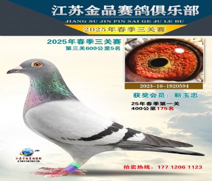 Ʒ6005