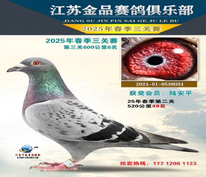 Ʒ6006
