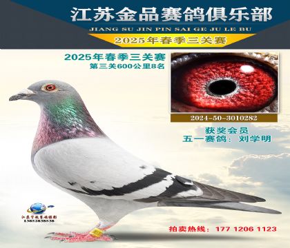 Ʒ6008