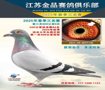 Ʒ6009
