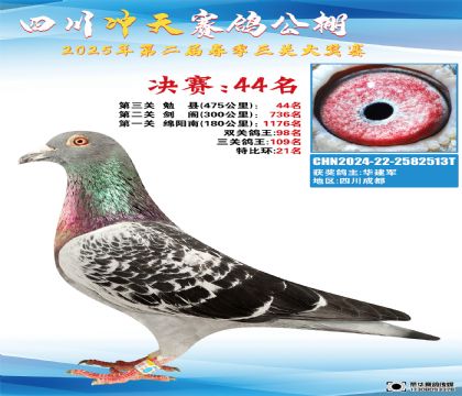 四川沖天決賽44名