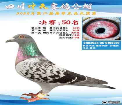 四川沖天決賽50名(鴿王10名)