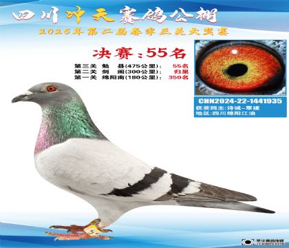 Ĵ_Qِ55