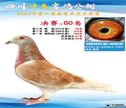 四川沖天決賽60名
