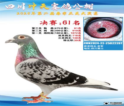 四川沖天決賽61名