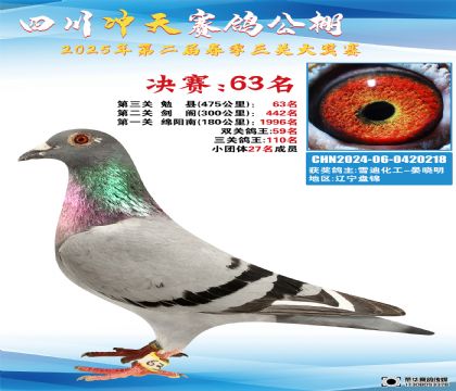 四川沖天決賽63名