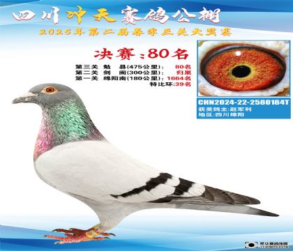 Ĵ_Qِ80
