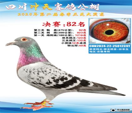 四川沖天決賽82名
