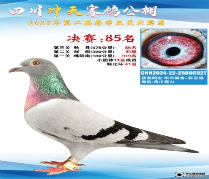 Ĵ_Qِ85