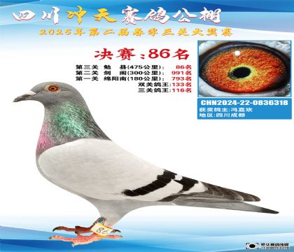 四川沖天決賽86名
