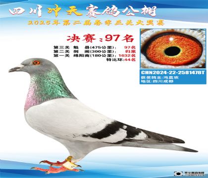 四川沖天決賽97名