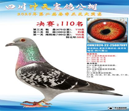四川沖天決賽110名