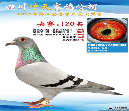 四川沖天決賽120名