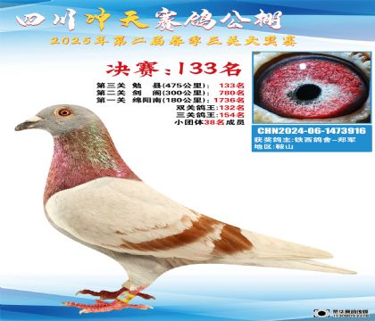 四川沖天決賽133名