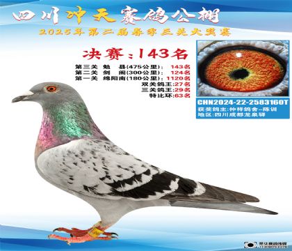 四川沖天決賽143名