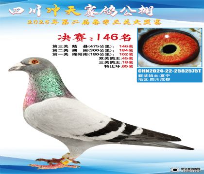 四川沖天決賽146名