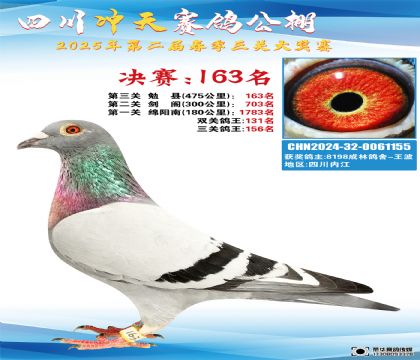 四川沖天決賽163名