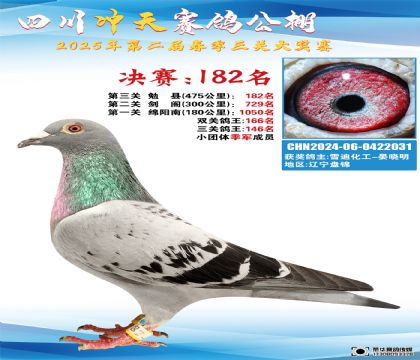 四川沖天決賽182名