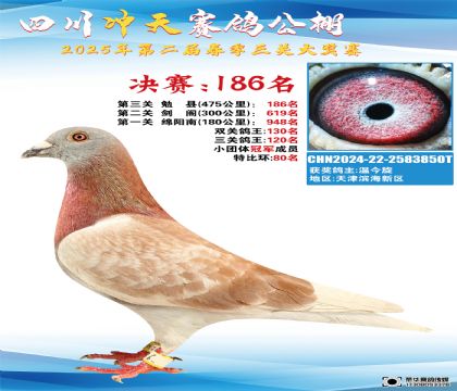 四川沖天決賽186名