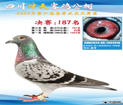 四川沖天決賽187名