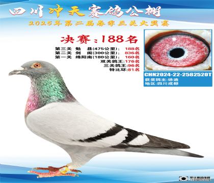 四川沖天決賽188名