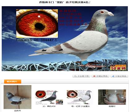 游Qِ4