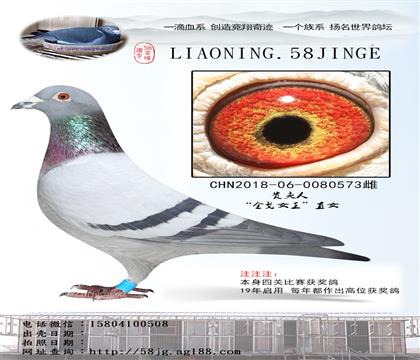 ĸF