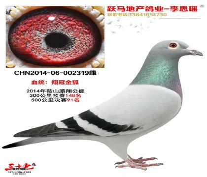 公棚決賽91名