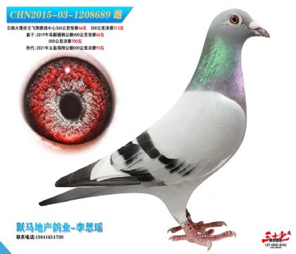 公棚決賽213名