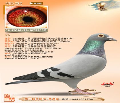 勝翔公棚決賽30名