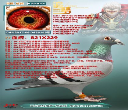 眾誠公棚決賽4名直子