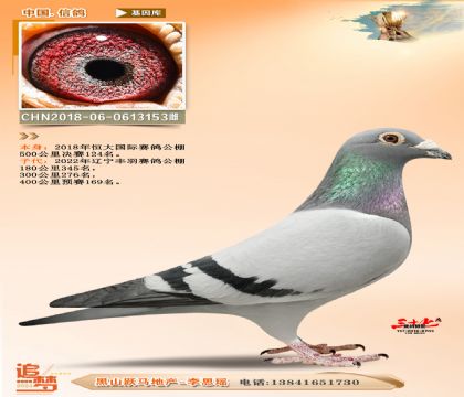 公棚決賽124名